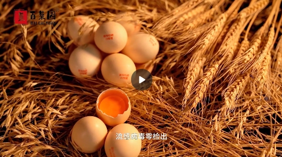 &#70;&#71;&#30005;&#23376;&#40;&#20013;&#22269;&#28216;&#41;&#23448;&#26041;&#32593;&#31449;